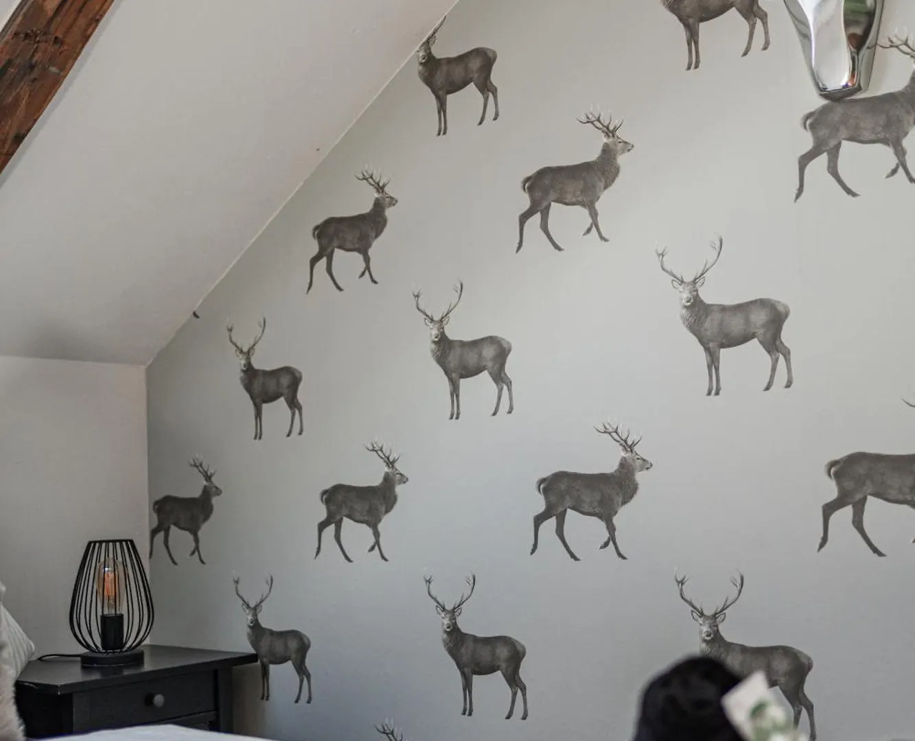Innsbruck City Chalet Aparthotel